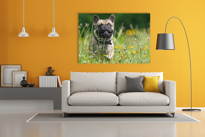 Canvas wanddecoratie modern interieur